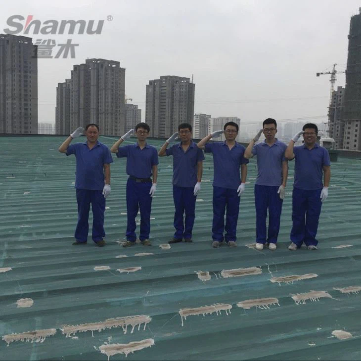 Polyurea For Building Roof